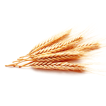 Australian Creams Vitamin E